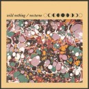 Wild Nothing : Nocturne