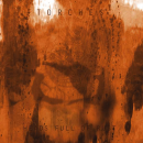Torches : Heads Full Of Rust