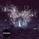 Arcane Roots : Blood & Chemistry