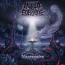 I Killed Everyone : Nercospire