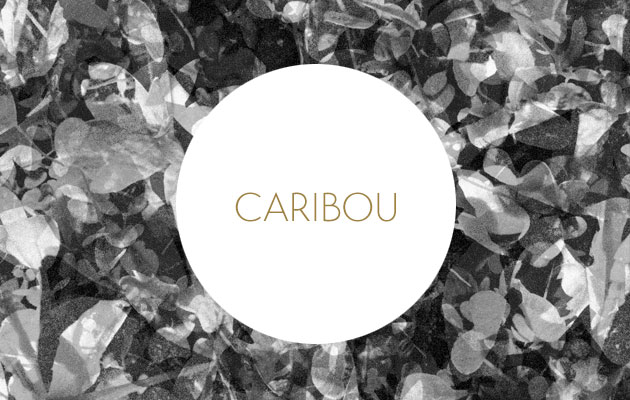 Caribou - Our love