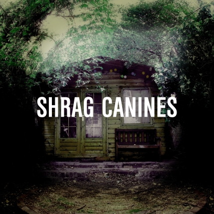 News Added Jun 03, 2012 The Brighton band Shrag’s third album, Canines, was recorded at Gargleblast Studios with producer Andy Miller (Life Without Buildings, Mogwai, Sons and Daughters). Canines is released on Fortuna Pop! and WIAIWYA on 9th July Submitted By christina Track list: Added Jun 03, 2012 couldn't seem to find a track list […]