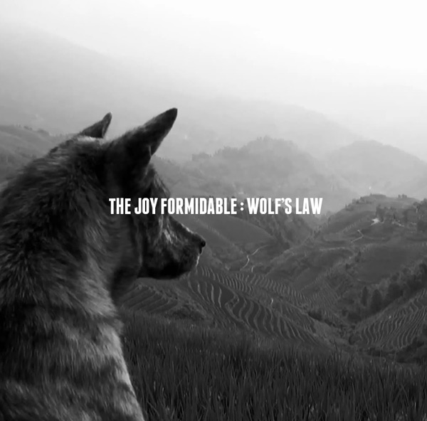 News Added Sep 30, 2012 The Joy Formidable are back with a new album early next year. Check out the amazing video of title track "Wolf's Law" below. Submitted By Bret Track list: Added Sep 30, 2012 TBA Submitted By Bret Video Added Sep 30, 2012 Submitted By Bret