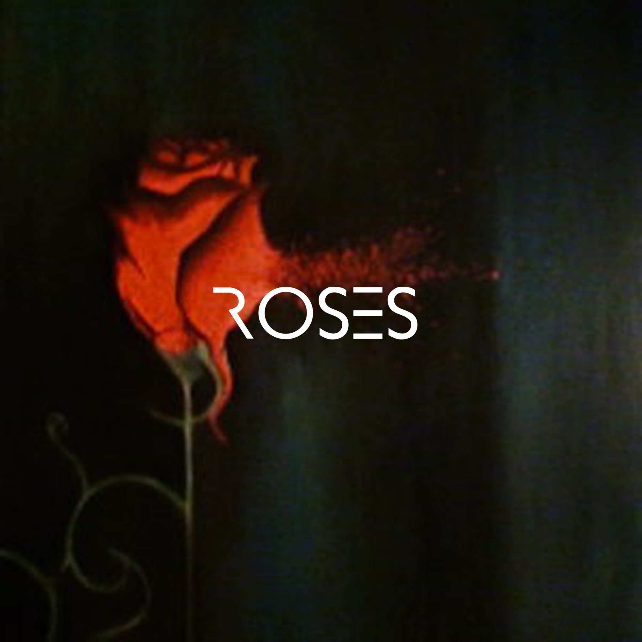 News Added Feb 23, 2013 Roses Ep 8/31 Submitted By Brandon Levy Track list: Added Feb 23, 2013 1. Names 2. She Was Radioactive 3. I Could Have That Power 4. By Suprise 5. Lockdown Spending 6. Every Teardrop Is Adrenaline 7. Haunted Hysteria 8. Just The Tip Submitted By Brandon Levy Audio Added Feb […]