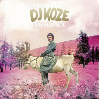 News Added Feb 07, 2013 Oddball producer DJ Koze has announced full details of his next album, Amygdala. The album arrives eight years after his last full length, Kosi Comes Around, which was released in 2005 on Kompakt. Since then Koze, real name Stefan Kozalla, has busied himself with high profile remixes for the likes […]