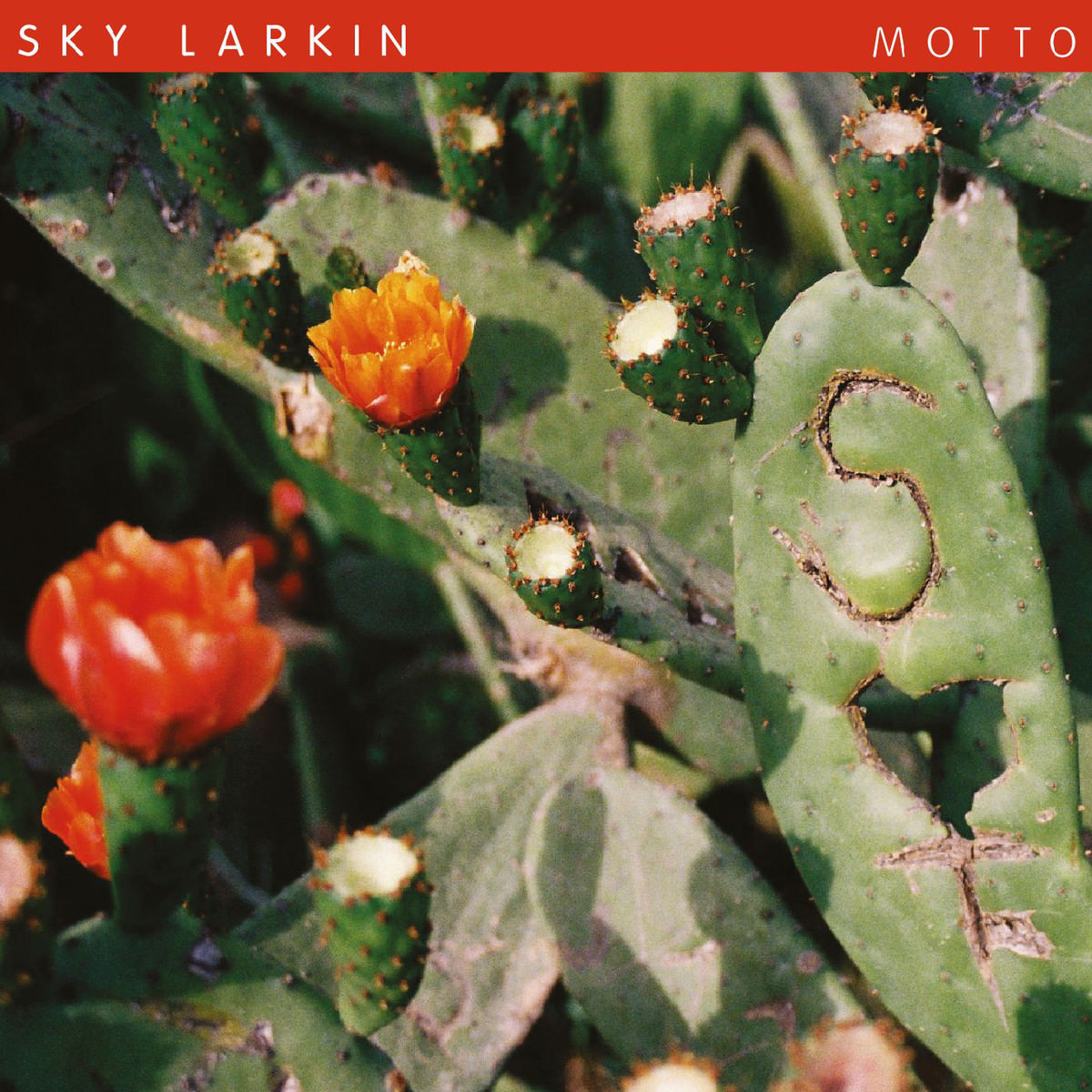 News Added Sep 11, 2013 Motto is the third album by Leeds trio Sky Larkin on Wichita Recordings. Recorded with long-term collaborator, producer John Goodmanson (Girls, Sleater Kinney, Los Campesinos!) in Seattle, Motto showcases Sky Larkin’s unshakable ability to conjure immediately satisfying, vibrant indie rock. The album was written for the most part whilst Sky […]