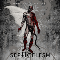 News Added Sep 07, 2013 Following the successful reissue SEPTICFLESH's cult first full-length “Mystic Places of Dawn” (originally released 1994), Season of Mist proudly presents the second album of the Greek demons with new artwork and bonus tracks: “Esoptron” (1995)! While its predecessor was strongly influenced by early Death Metal although already containing all trademark […]