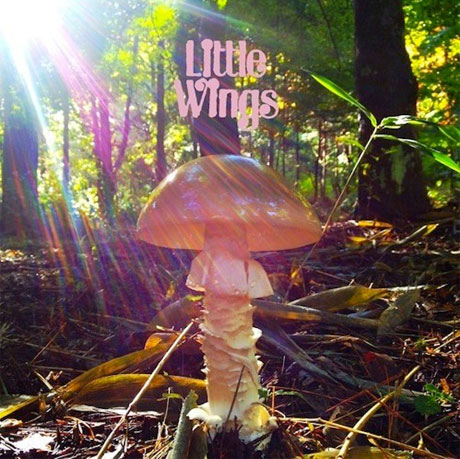 News Added Oct 22, 2013 Little Wings got a healthy boost in publicity back in 2010 when Feist named her documentary, Look at What the Light Did Now, after one of his tunes. This means that plenty more folks may be paying attention when songwriter Kyle Field releases his latest album, LAST, on February 5 […]