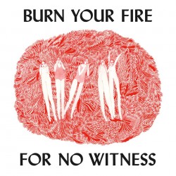 Angel Olsen : Burn Your Fire for No Witness