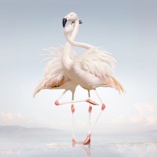 News Added Jun 23, 2014 After unveiling the new track "Raptor" last Friday, Scottish producer Rustie has detailed his hotly anticipated follow-up LP to 2011's Glass Swords. Green Language is out August 26 via Warp. It features Danny Brown, D Double E, Redinho, and Gorgeous Children. That's the cover up there; find the tracklist, plus […]