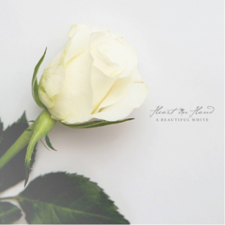 News Added Sep 11, 2014 'A Beautiful White' will be released November 3rd by SOAR/Century Media Records. A Beautiful White is an album about fresh starts and overcoming problems that face you in life. Coming out of the darkness into the light and not letting bad things in life hold you back.This record has more […]