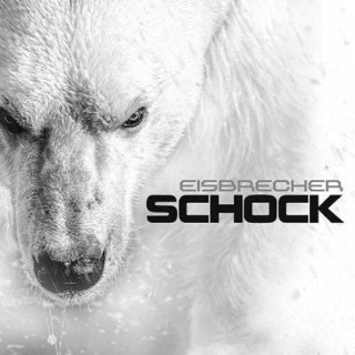 News Added Dec 15, 2014 The new Eisbrecher album "Schock" will be released on January 23rd 2015 worldwide and on January 27th 2015 in the US. Submitted By Thomas Bedward Source hasitleaked.com Track list: Added Dec 15, 2014 1. Volle Kraft Voraus 2.1000 Narben 3. Schock 4. Zwischen Uns 5. Rot wie die Liebe 6. […]