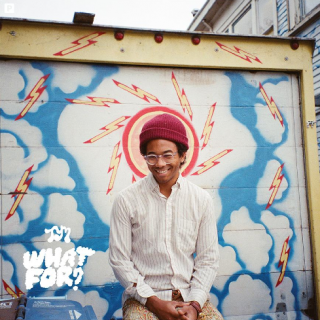 News Added Jan 19, 2015 Chaz Bundick, aka Toro Y Moi, will release his new album What For? on April 7 via Carpark Records. It follows 2013's Anything in Return and last year's Michael, Bundick's album as Les Sins. Listen to a new track, "Empty Nesters", above, premiered on Zane Lowe's BBC Radio 1 program. […]