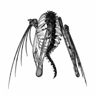 News Added Feb 02, 2015 Experimental, hard hitting electronic music from Lotic. EP Download set to be released by Tri Angle. Listen to the single Damsel In Distress, via Soundcloud, below. "Lotic had a huge 2014, breaking new ground with his Damsel In Distress mixtape and finding himself at the head of a class of […]
