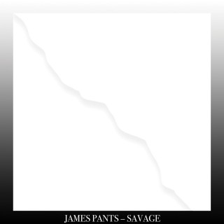 News Added Apr 08, 2015 Savage is the new album from James Pants. It comes out Apr 15. Vinyl is shipping this week. Here’s what Savage is all about. James says it’s "inspired by Martin Denny flourishes, royalty free breakbeats, Gary Wilson and Hamburg’s infamous Golden Pudel club." The record was composed solely via MIDI […]