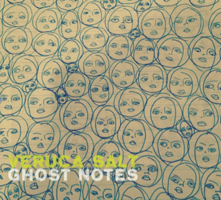 News Added May 19, 2015 Last year, Veruca Salt reunited for its first tour and single in over a decade. Now, the alt-rock veterans are completing the comeback trifecta with a brand new album titled Ghost Notes. Due out on July 10th through El Camino Records, it marks the band’s fifth studio LP following 2006’s […]