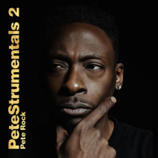 News Added Jun 22, 2015 How's this for a long-brewing sequel: On June 23, legendary hip-hop producer Pete Rock will release Petestrumentals 2, the sequel to his 2001 beats collection Petestrumentals. "One, Two, A Few More" is a low-key cut with that classic Pete Rock bump, and as he told FADER in an email, it's […]