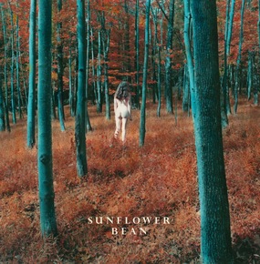 News Added Jun 02, 2015 Following their self-released debut EP, Show Me Your Seven Secrets, at the end of 2014, I Hear Voices is available on limited 7” and download, and features The Stalker on the flip side. The single is an effortless slice of garage-rock and psych sounds, melodic riffs and hazy vocals. Sunflower […]
