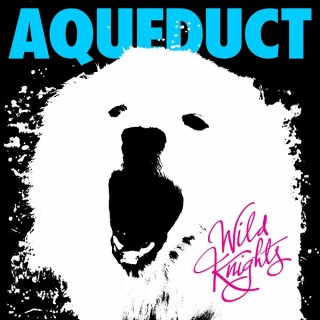 News Added Jul 13, 2015 Seattle indie pop outfit Aqueduct will release its first album in eight years, Wild Knights, on July 14th. In anticipation, it’s streaming in full below. Primarily the solo project of songwriter David Terry, Aqueduct initially formed in Tulsa, Oklahoma before moving to the Emerald City in 2003. Terry quickly found […]