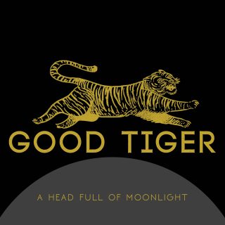 News Added Sep 03, 2015 Hi, we are Good Tiger, a brand new band made up of Elliot Coleman (vocals), Derya Nagle (guitars), Joaquin Ardiles (guitars), Alex Rüdinger (drums) and Morgan Sinclair (bass). We have been writing and recording music for the past 6 months, and are just about ready to share the fruits of […]