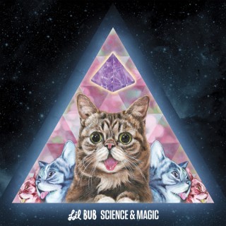 News Added Oct 07, 2015 Meow The Jewels obviously opened up a new wave of cat records. Internet celebrity cat, Lil Bub who actually did make onto Meow The Jewels record, is about to release her debut album. Science & Magic is out December 4 on various formats, including a now sold-out version limited picture […]