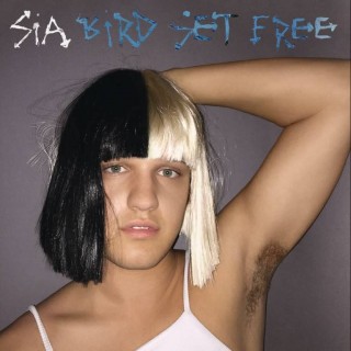 News Added Nov 03, 2015 Following the impact of the lead single “Alive“, the singer has released the song “Bird Set Free” as the second promotional single along the pre-order of the album on November 4th. The song was written by Sia Furler with the collaboration of Tobias Jesso, Jr. & Adele Adkins. It was […]