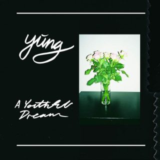 News Added Jun 09, 2016 'A Youthful Dream' the debut album from Yung is a revelation. Angst makes space for wisdom, youthful exuberance begins channelling road-tested experience, and a blur of basement shows and self-produced bromides becomes something more. Where the previous releases such as 'These Thoughts Are Like Mandatory Chores' found Silkjær masterfully running […]