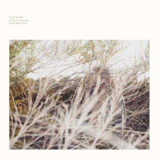 News Added Oct 20, 2016 A Hand Through the Cellar Door marks Luke Temple's 5th Solo Studio album. Luke Temple is part of the group: Here we go Magic. Just like all of his stuff, this sounds to be very promising. Comes out November 11th! He released one song titled "The Birds of Late December" […]
