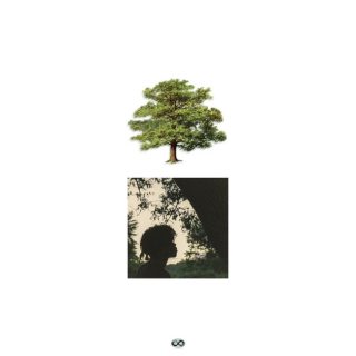 News Added Nov 16, 2016 Wisconsin rapper Trapo gained some recognition with the two Extended Plays he has released in the last two years, but today he took the next step in his career when he released his debut studio album "Shade Trees". The 16-track project features guest appearances from Saba and Skizzy Mars. Submitted […]
