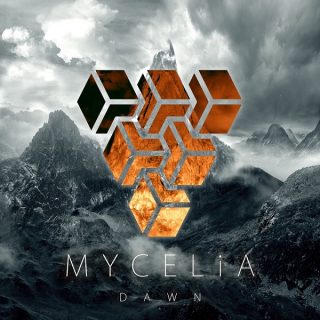 News Added Jan 20, 2017 Mycelia was founded in 2010 by members Mike Schmid and Marc Trummer who were trying to face the challenge of writing songs way above the musical level of what they were used to play in former bands. Inspired by artists such as The Human Abstract, Meshuggah or The Dillinger Escape […]