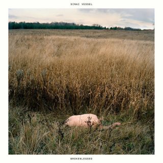 News Added Jan 23, 2017 On January 27, Tiny Engines will release Sinai Vessel’s debut album Brokenlegged, a mundane statement that understates all the work that went into its creation. Started in 2009 by Caleb Cordes, Sinai Vessel was a solo project that, over time, began taking on new members and solidifying its sound. Since […]