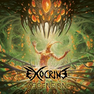 News Added Jan 09, 2017 Exocrine was formed in Bordeaux during 2013 by Sylvain O.P. Exocrine have evolved in modern and technical metal styles, mixing influence without losing sight of the true essence of their music. Their debut First album "Unreal existence" combines Groove pattern, technical riffs with melodic leads. Submitted By Anachronistic Source hasitleaked.com […]