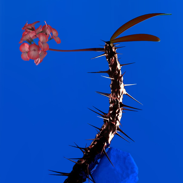 flume skin companion ep