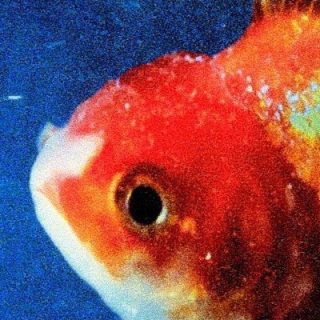 News Added Mar 12, 2017 Long Beach rapper Vince Staples has been hinting for a few months new that he had an album dropping sometime in 2017. According to a recent article published in the latest VICE magazine, his sophomore album will be titled "Big Fish Theory" and is expected to be released by Def […]