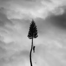 News Added Jun 09, 2017 Atlanta, GA indie rock band Manchester Orchestra have announced their fifth album "A Black Mile to the Surface". It is the band's first album of new material since 2014's "Cope". The album was produced by Catherine Marks (PJ Harvey, the Killers) and John Congleton (St. Vincent, Angel Olsen) in addition […]