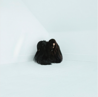 News Added Jun 14, 2017 American singer-songwriter Chelsea Wolfe will release a new record this fall. As announced by NPR, Hiss Spunn will be released on 22 September 2017 via Sargent House. The first track from the album is a single called 16 Psyche. The song is produced by Kurt Ballou of Converge and it […]