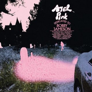 News Added Jun 21, 2017 Ariel Pink has announced a new album. Dedicated to Bobby Jameson, the follow-up to 2014’s Pom Pom, is out September 15 via Mexican Summer. Check out the cover art and tracklist below, as well as a new video for his latest single, “Another Weekend,” directed by Grant Singer. Ariel Pink […]