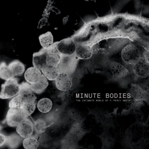 News Added Jun 09, 2017 ‘Minute Bodies’ is an interpretative edit that combines Smith's original footage with a new contemporary score to create a hypnotic, alien yet familiar dreamscape that connects us to the sense of wonder Smith must have felt as he peered through his own lenses and seen these micro-worlds for the first […]