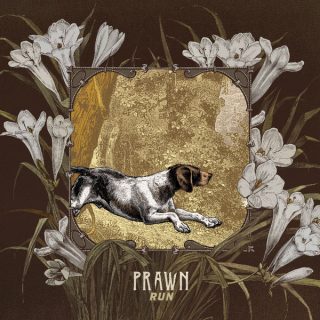 News Added Sep 19, 2017 New Jersey Emo Rockers, Prawn are gearing up to release their third studio album in just a few days. Although the album's lyrics were initially inspired by the vocalists feeling of isolation, the instrumentation says otherwise, being their most upbeat and punky record to date. "Run" is set to release […]
