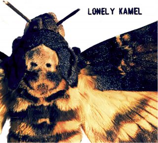 News Added Feb 20, 2018 Death’s-Head Hawkmoth was written over a relatively long period, due to various reasons. I remember Thomas brought a six-song demo tape back in April-May 2015, and four of these ideas were initially recorded during the Hawkmoth sessions, while only three of them ended up on the record. We were in […]