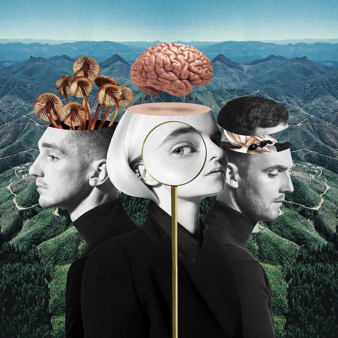 Clean bandit солистка как зовут