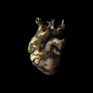 News Added Jan 19, 2019 Highasakite are set to release new album 'Uranium Heart' on February 1st. The Norwegian project are back, with sessions for their new album containing roots that stretch back over the last 18 months. 'Uranium Heart' will emerge on February 1st, and seemingly emerges from a "continuous process" where new ideas […]