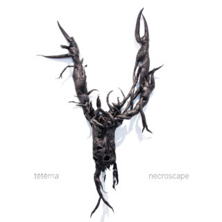 News Added Jan 13, 2020 Necroscape is the 2nd album from Mike Patton and Anthony Pateras' modernist electro-acoustic rock proposition tētēma. Joined by violinist Erkki Veltheim and drummer WIll Guthrie in quartet formation, this record continues to employ the wayward orchestrations and arresting physicality of their 2014 debut Geocidal, yet is renewed by a melodic […]