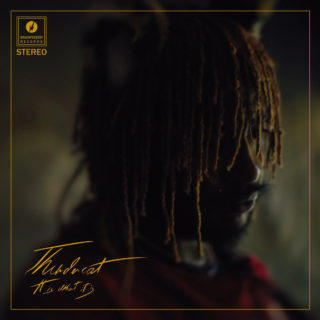 News Added Jan 15, 2020 Genius, GOAT, bass player, songwriter and legend Thundercat will drop another record this year via Brainfeeder, already saving the decade. He brought tons of other amazing artist with him; FLying Lotus producing it like he always does, Steve Lacy, Steve Arrington, Childish Gambino, Kamasi Washington, Ty Dolla $ign, BADBADNOTGOOD, Louis […]