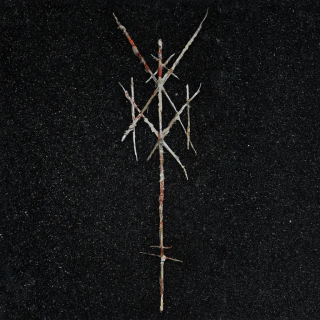 News Added Oct 23, 2021 Belgian (post-)black metal formation Wiegedood (meaning: "Sudden Infant Death Syndrome", or SIDS), are ready to release their fourth full-length studio album, titled: " There's Always Blood At The End Of The Road", which will see the light of day on January the 14th. At this point, not much further information […]
