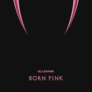 News Added Aug 30, 2022 The second studio album by Kpop powerhouse girl group BLACKPINK. The album garnered over 2 million pre-orders seven days after its initial announcement, and the music video for the lead single "Pink Venom" received 90.4 million views within 24 hours of its release. Submitted By JD Source pitchfork.com Video Added […]