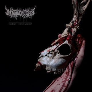 News Added Oct 15, 2026 German six-piece Mental Cruelty follow up Zwielicht with Echoes of a Forlorn Land, a Norse mythology-themed record that pushes their deathcore roots further towards blackened death metal, with black, folk and power metal touches along the way. The album was produced, mixed and mastered by Jens Bogren (Dimmu Borgir, Behemoth, [&hellip;]