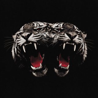 News Added Oct 15, 2026 Dead Company is Royal Blood's fifth album and their first new material since 2023's Back To The Water Below. Mike Kerr and Ben Thatcher produced the ten songs themselves, with no deadline, and wrote them with the live show in mind. Lead single "Ten Over Ten" was inspired by Kerr's [&hellip;]