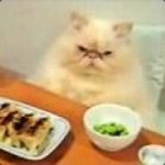 Profile picture of teh