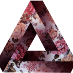 Profile picture of andy